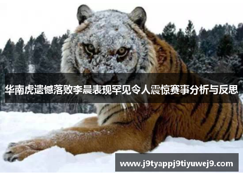 华南虎遗憾落败李晨表现罕见令人震惊赛事分析与反思