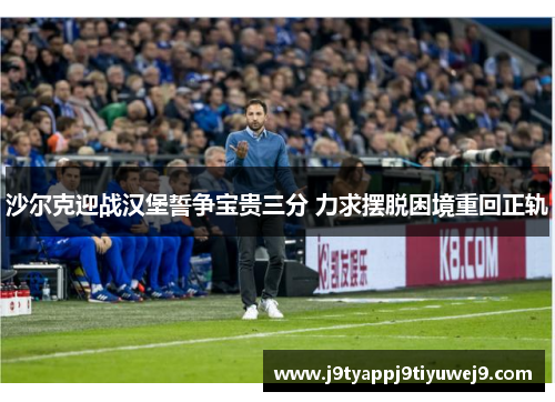 沙尔克迎战汉堡誓争宝贵三分 力求摆脱困境重回正轨