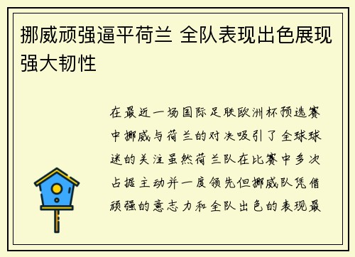 挪威顽强逼平荷兰 全队表现出色展现强大韧性