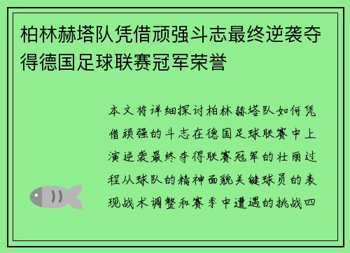 柏林赫塔队凭借顽强斗志最终逆袭夺得德国足球联赛冠军荣誉