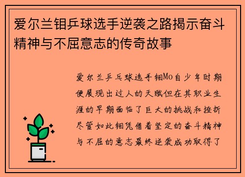 爱尔兰钼乒球选手逆袭之路揭示奋斗精神与不屈意志的传奇故事